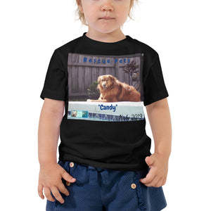 Toddler Short Sleeve Tee - Rescue Pets Collection - "Candy"