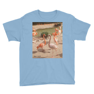 Youth/Kids' Short Sleeve T-Shirt - Flamingo Friends Collection