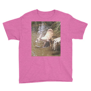Youth/Kids' Short Sleeve T-Shirt - Daisy the Deer Collection