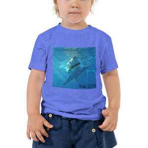 Toddler Short Sleeve Tee - Surrounded by Sharks Collection