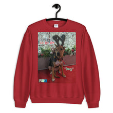 Load image into Gallery viewer, &quot;Christmas Dog&quot; Premium Customizable Unisex Sweatshirt (&quot;Lucy&quot;)