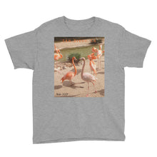 Load image into Gallery viewer, Youth/Kids&#39; Short Sleeve T-Shirt - Flamingo Friends Collection