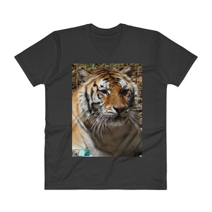 V-Neck T-Shirt - Unisex - Toby the Tiger Collection