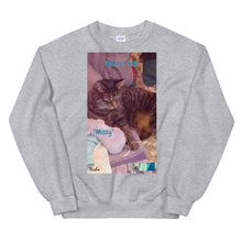 Load image into Gallery viewer, Unisex Premium Sweatshirt - Rescue Pets Collection - &quot;Missy&quot;