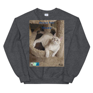 Unisex Premium Sweatshirt - Rescue Pets Collection - "Chena"