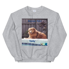 Load image into Gallery viewer, Unisex Premium Sweatshirt - Rescue Pets Collection - &quot;Candy&quot;