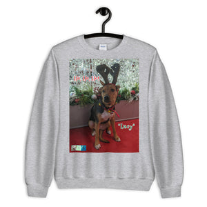"Christmas Dog" Premium Customizable Unisex Sweatshirt ("Lucy")